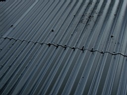 carrowcrory studio-4024.JPG